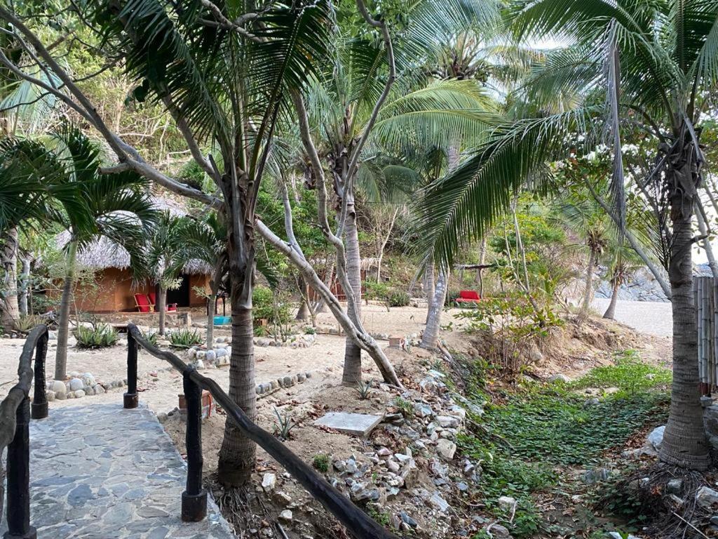 Hotel Bahia De La Luna Arroyo Cruz Екстер'єр фото