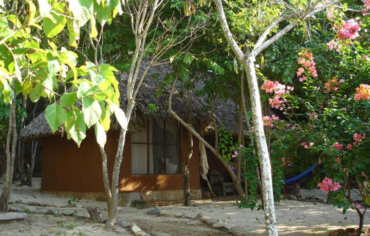 Hotel Bahia De La Luna Arroyo Cruz Номер фото